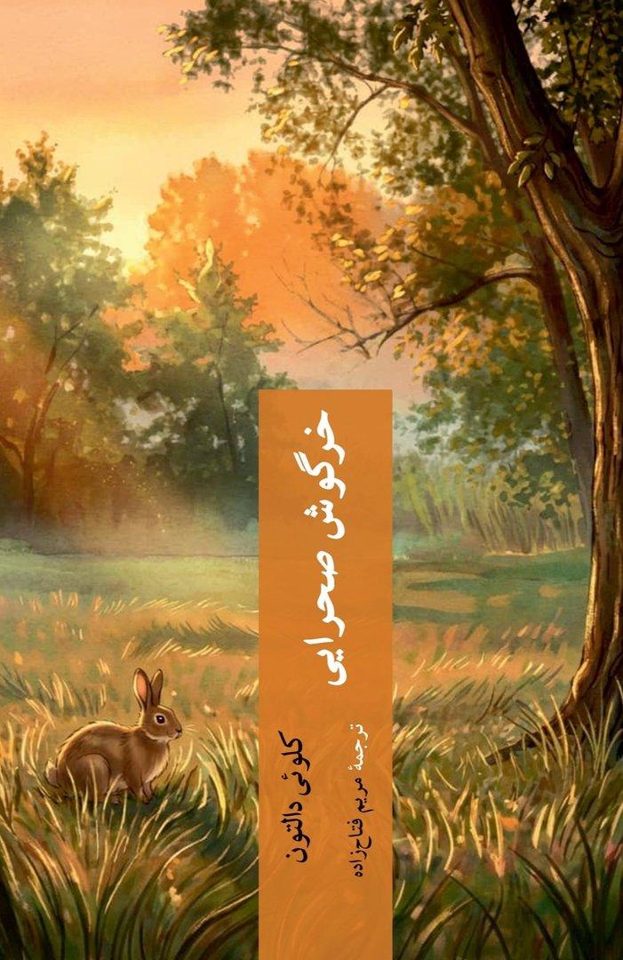 خرگوش صحرایی